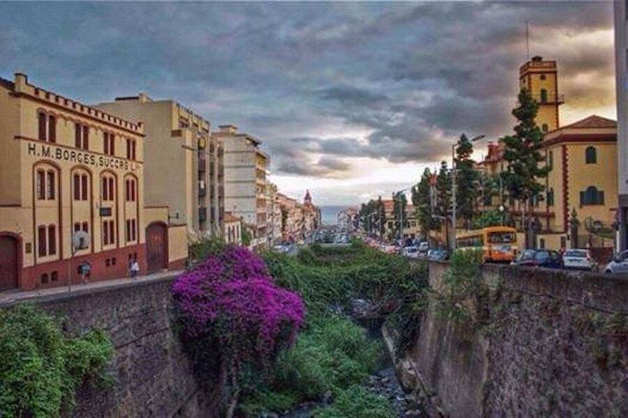 Funchal: H.M. Borges Winery Guided Tour with Wine Tasting - Who this tour is best for