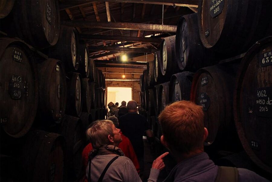 Funchal: H.M. Borges Winery Guided Tour with Wine Tasting - The guided walkthrough: what you actually learn
