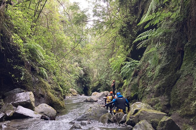 Funchal: Half-day Beginners Canyoning - Rappel, Slides, and Jumps, How the Guide Keeps You in Control
