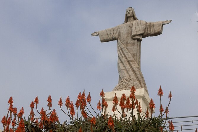 Funchal highlights 5h Private Tour in Madeira - Private Madeira highlights: why this 5-hour loop feels worth it