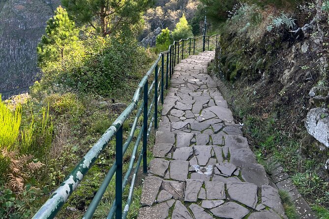 Funchal highlights 5h Private Tour in Madeira - Price and value: what $240.30 per group really buys