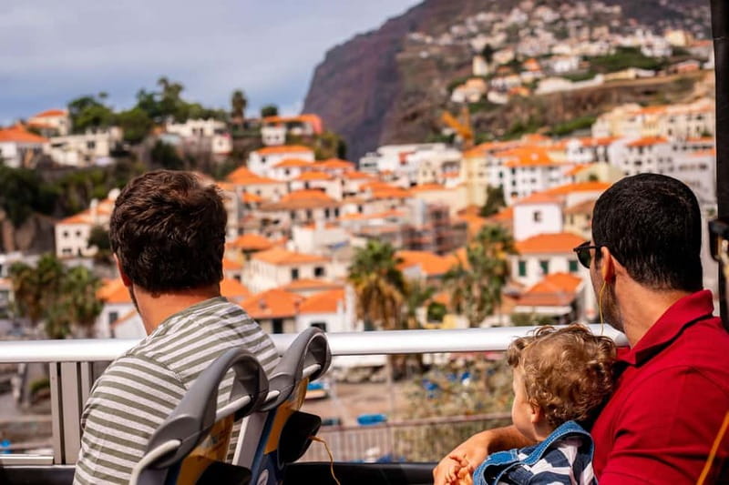 Funchal:Hop-on Hop-off Bus & Whale & Dolphin boat Excursion - Key highlights to know