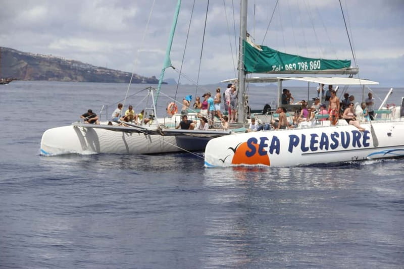 Funchal:Hop-on Hop-off Bus & Whale & Dolphin boat Excursion - Where the included stops fit best: Old Blandys and Bordal