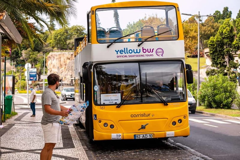 Funchal:Hop-on Hop-off Bus & Whale & Dolphin boat Excursion - The 48-hour hop-on hop-off bus: where it shines and how to use it