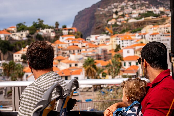 Funchal Hop-On Hop-Off Tour 3 in 1 - Avenida do Mar to Pico dos Barcelos: the Funchal Route basics
