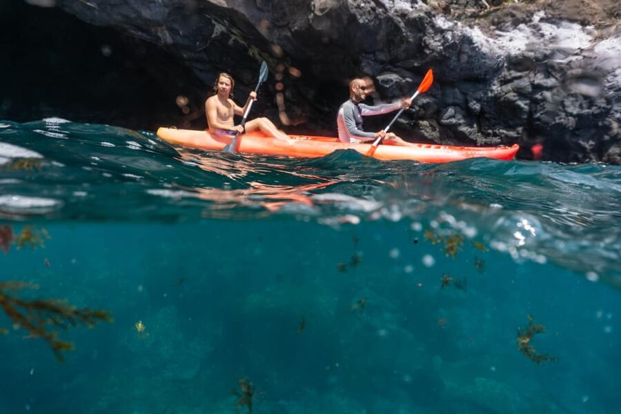 Funchal: KAYAK Rental or Guided tour with snorkeling - Where you meet: a sea-level setup inside the Pestana Carlton