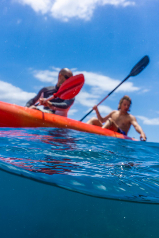 Funchal: KAYAK Rental or Guided tour with snorkeling - Guided tour vs rental only: choose the right kind of freedom