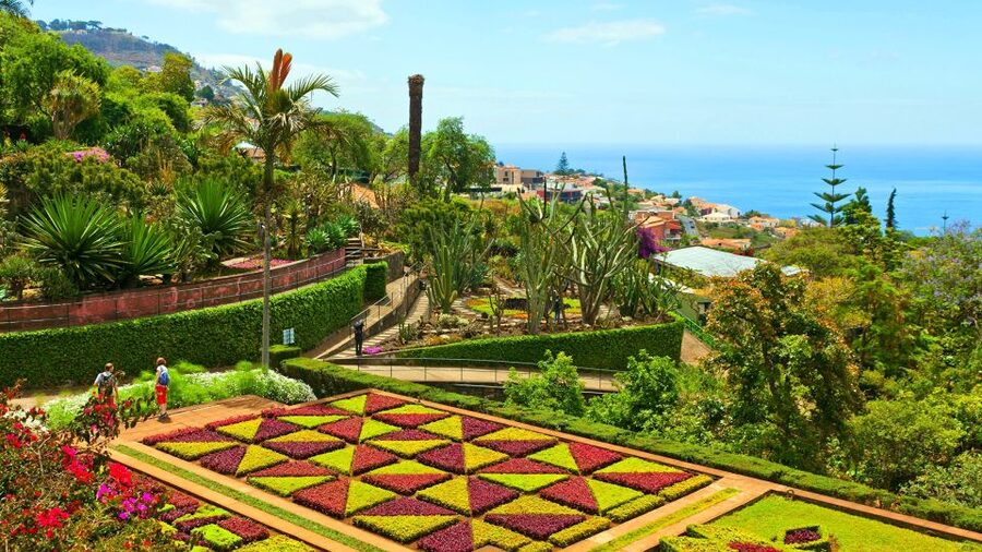 Funchal: Madeira Botanical Garden Private Tuk-Tuk Tour - Key Highlights You Should Know Before You Go
