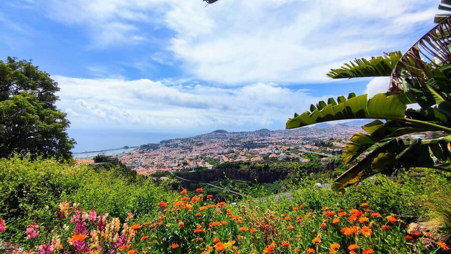 Funchal: Madeira Botanical Garden Private Tuk-Tuk Tour - How to Get the Most From Your 1 Hour in the Gardens
