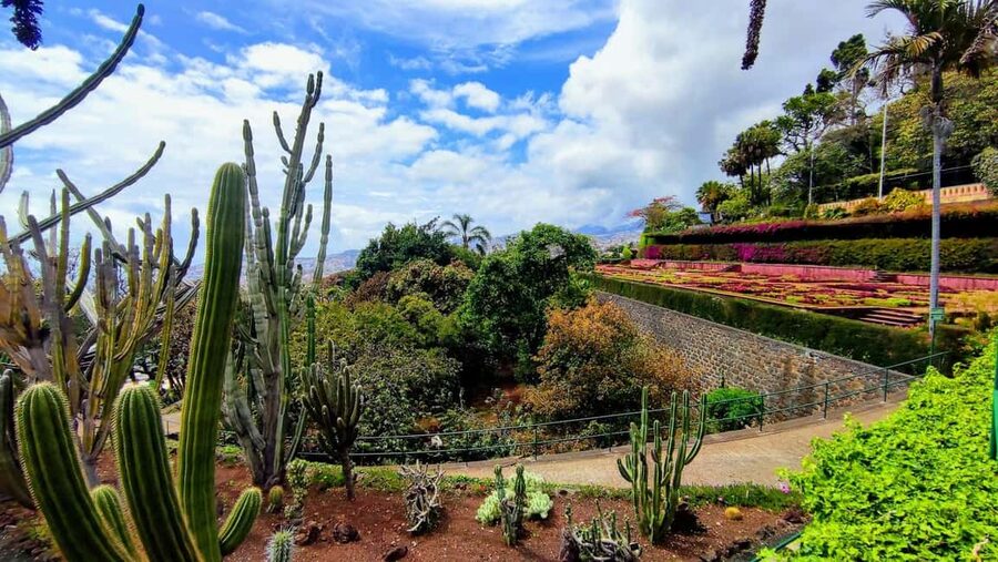 Funchal: Madeira Botanical Garden Private Tuk-Tuk Tour - Who This Tour Suits Best (And Who Might Want Something Different)