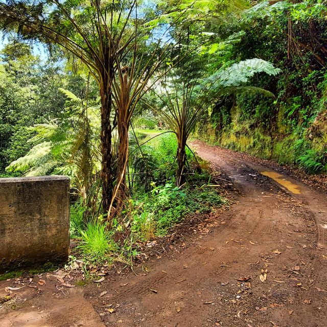 Funchal: Madeira Island 4x4 Private Customizable Tour - Why a Private 4x4 West Tour From Funchal Feels Different