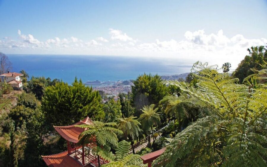 Funchal: Monte Palace Tropical Gardens Tuk Tuk Tour - Where This Tuk Tuk Tour Fits In Your Madeira Plan