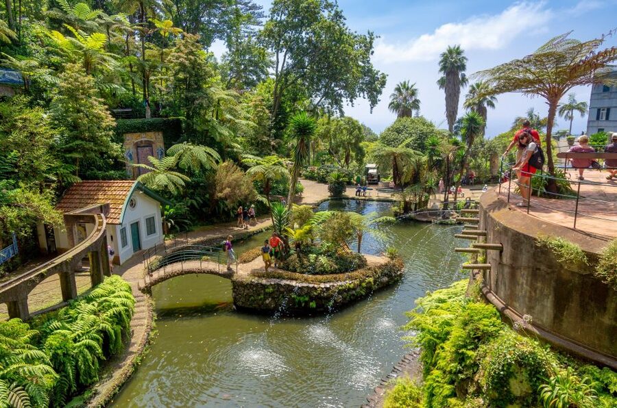 Funchal: Monte Palace Tropical Gardens Tuk Tuk Tour - Tuk Tuk Ride Details: Bumpy Hills, Narrow Streets, and Photo Stops