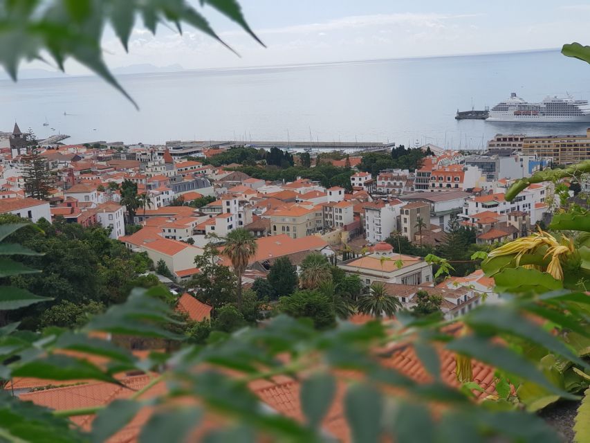 Funchal: Monte Toboggan and Old Town Tour by Tuk-Tuk - Who This Tour Fits, and Who Should Skip