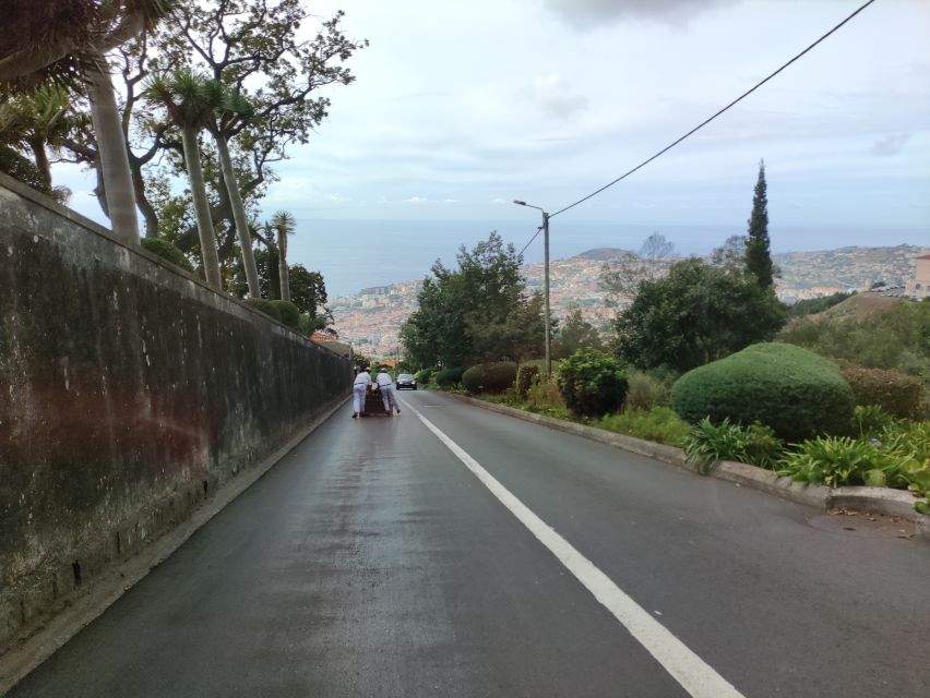 Funchal: Monte Toboggan and Old Town Tour by Tuk-Tuk - Old Town and Farmers Market: Getting Oriented Fast
