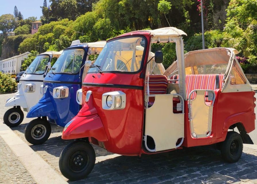 Funchal: Monte Toboggan and Old Town Tour by Tuk-Tuk - Price and What You Get for $47, Plus the €17.50 Ride Ticket