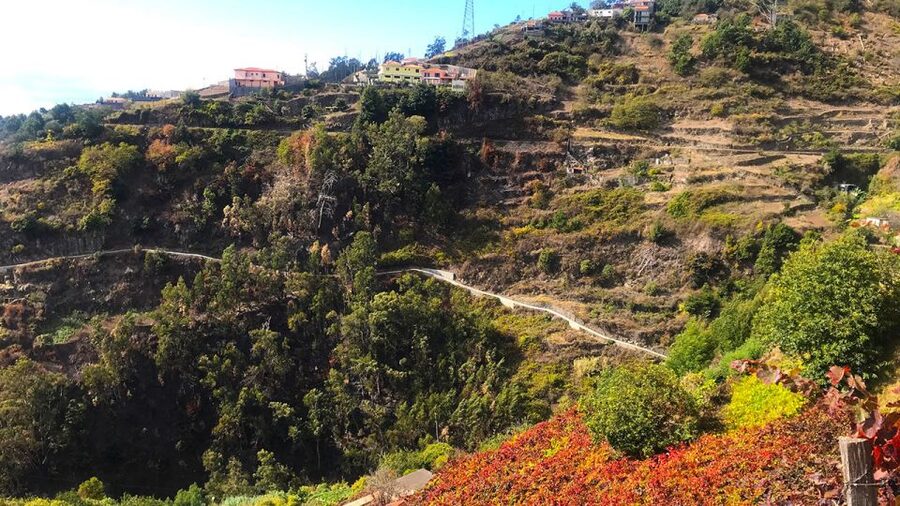 Funchal: Northern Levada Walking Tour - Cabo Girão to Quinta Grande: the levada route that connects the island
