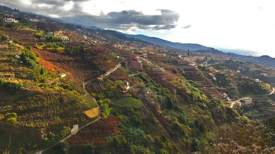 Funchal: Northern Levada Walking Tour - What to pack for an easy 2-hour Madeira walk