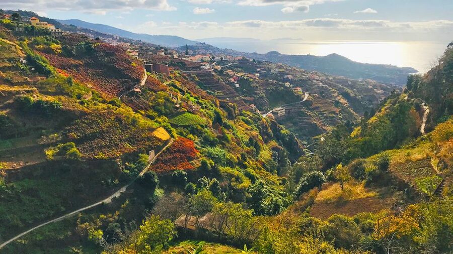 Funchal: Northern Levada Walking Tour - Weather mood swings and how to stay flexible