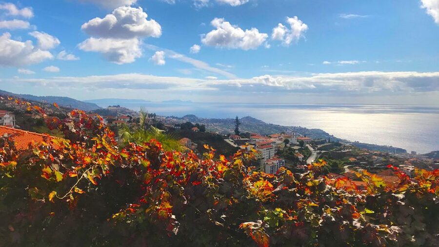 Funchal: Northern Levada Walking Tour - Views you get twice: ocean outlook and mountain air