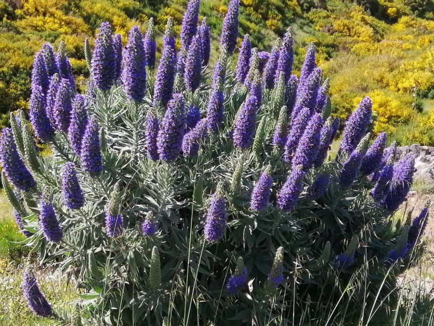 Funchal: Nuns Valley Easy Walk with Mountain Surroundings - Pico dos Barcelos: the 360 view that frames Funchal fast