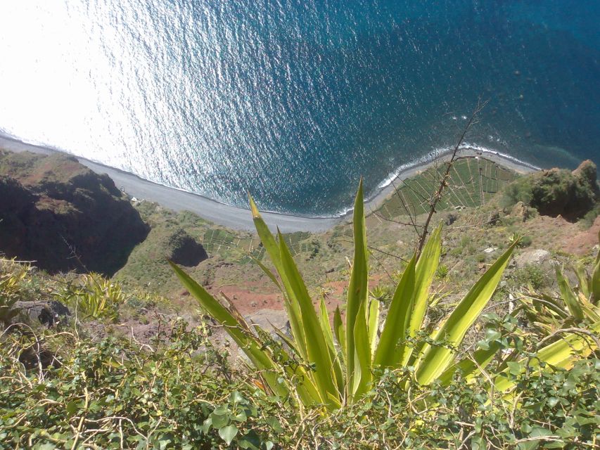 Funchal: Nuns Valley Half Day Tour - Who this tour suits best, and who might feel out of place