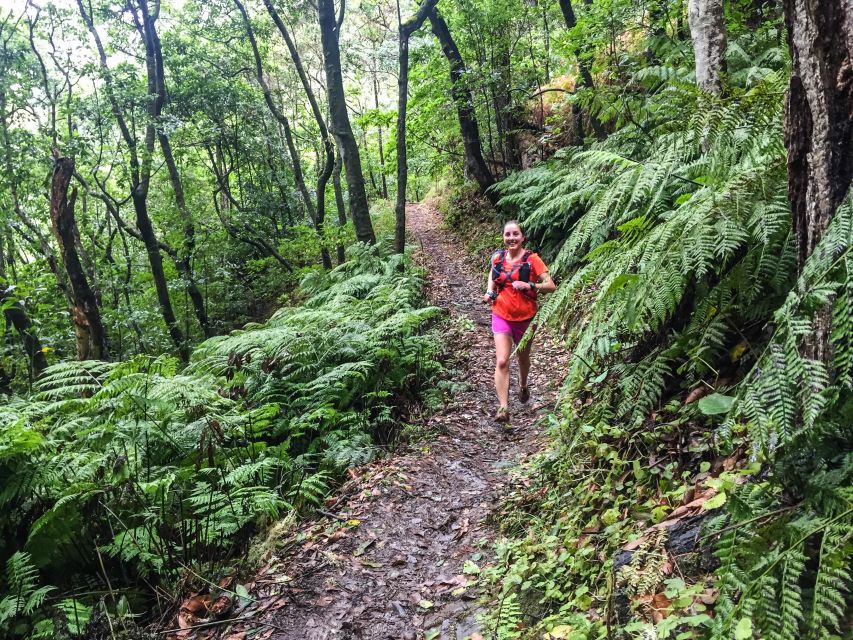Funchal: Ocean to Mountain Running Tour - A guide-led run you can trust, including reroutes