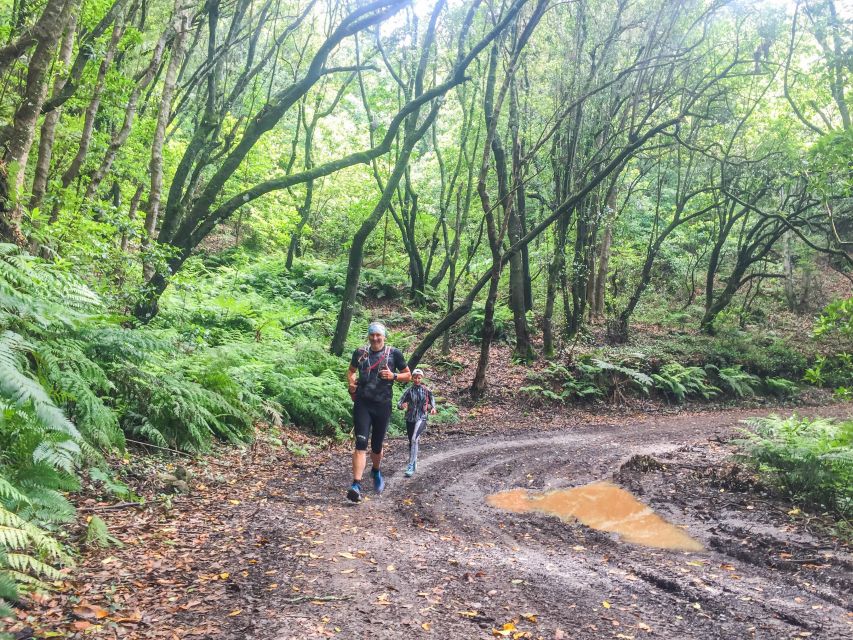 Funchal: Ocean to Mountain Running Tour - Larano Trail ocean views, levada crossings, and changing scenery