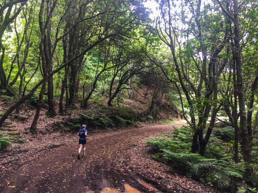 Funchal: Ocean to Mountain Running Tour - What the 6 hours and 28 km really mean for your body