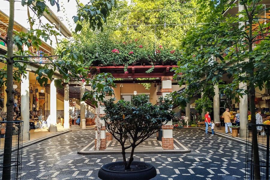 Funchal: Old Town Walking Tour - Price, small group pacing, and why $19 can be good value