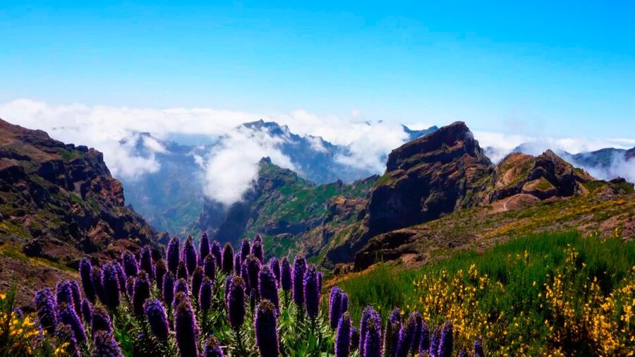 Funchal: Pico Arieiro, Cristo Rei and Dolphins Watching - Cristo Rei: the viewpoint stop with the story behind it