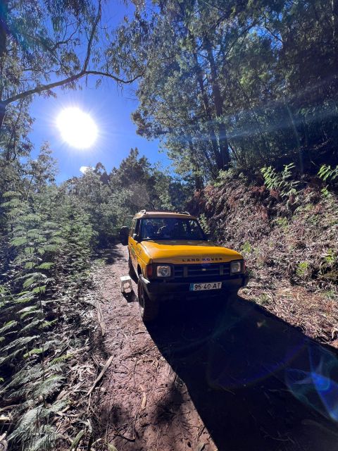 Funchal: Pico do Areeiro, Caniçal, Santana Jeep Safari Tour - Off-road to Faial: small villages, big scenery