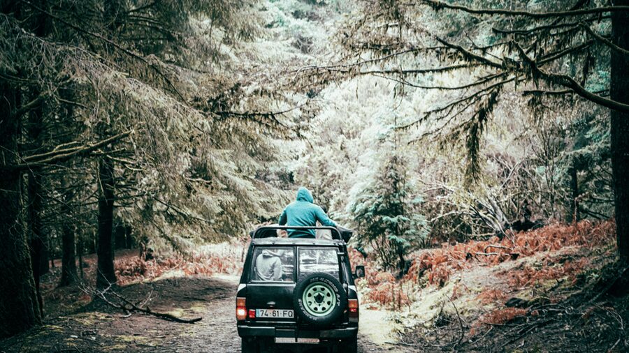 Funchal: Pico do Areeiro to Santana 4x4 East Tour - Cova da Roda Trail and the Jurassic Forest Off-Road Feeling
