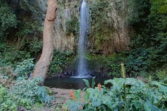Funchal: Pico do Arieiro to Santana and Ponta de Sao Lorenco - A Jeep Route That Reaches Madeira’s East Beyond Funchal