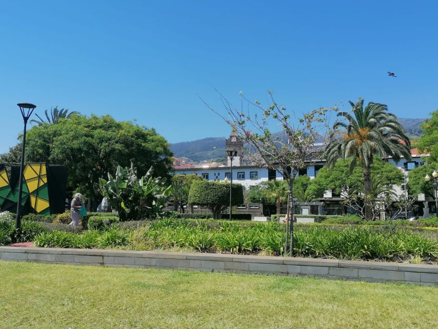 Funchal: Private Guided Tour of Historic Center by Tuk Tuk - Key highlights you should know before you go