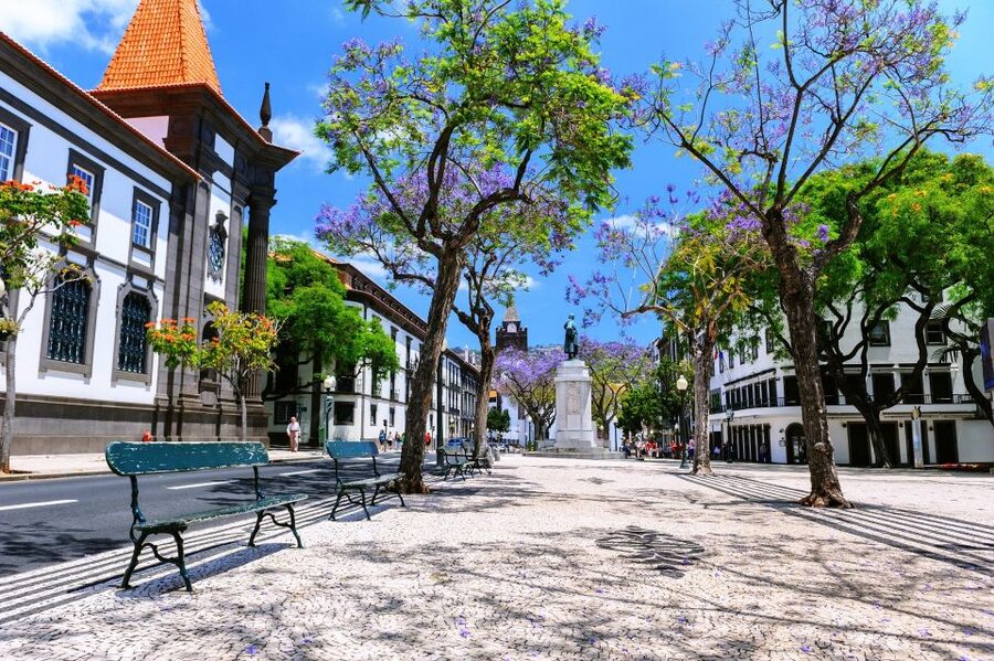 Funchal: Private Guided Tour of Historic Center by Tuk Tuk - Price and value: what you are really paying for
