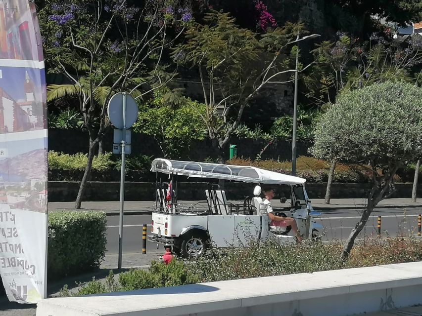 Funchal: Private Guided Tour of Historic Center by Tuk Tuk - Getting oriented in Funchal, one hour at a time