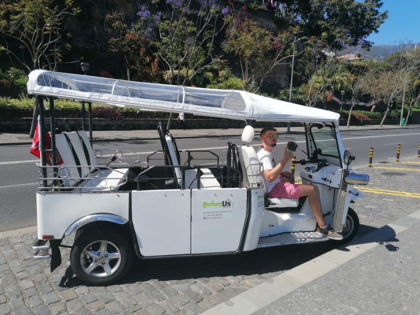 Funchal: Private Guided Tour of Historic Center by Tuk Tuk - Panoramic view time: when Funchal finally clicks