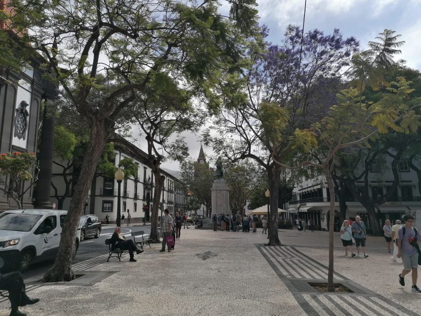 Funchal: Private Guided Tour of Historic Center by Tuk Tuk - Cathedral and City Hall: landmark stops with real context