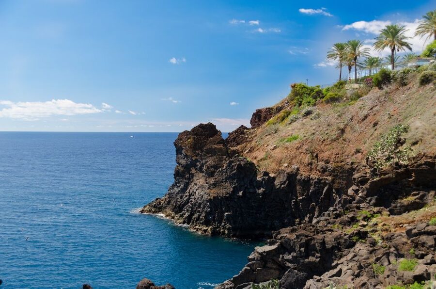 Funchal: Private Tour with a Local Guide - A 2 to 6 Hour Tour Means You Control the Depth