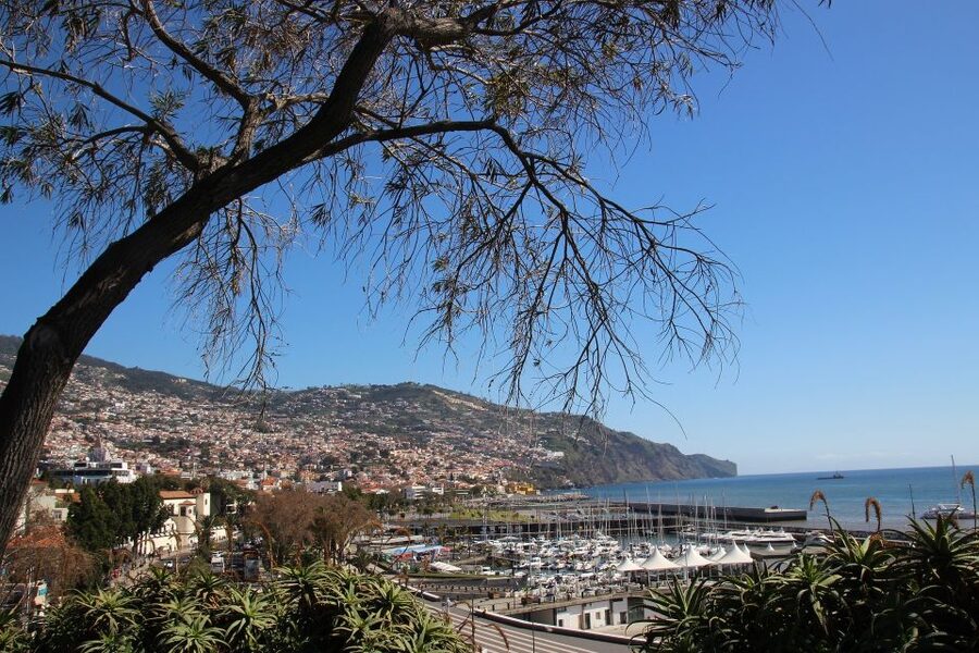Funchal: Private Tour with a Local Guide - What You Actually Do on the Walk