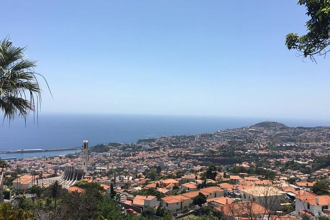 Funchal Private Transfers Service to Madeira Airport - Key highlights at a glance