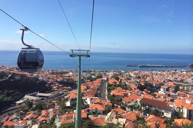 Funchal Private Vehicle Service with Driver for a Half Day or Full Day - What you can do with a no-fixed-itinerary day