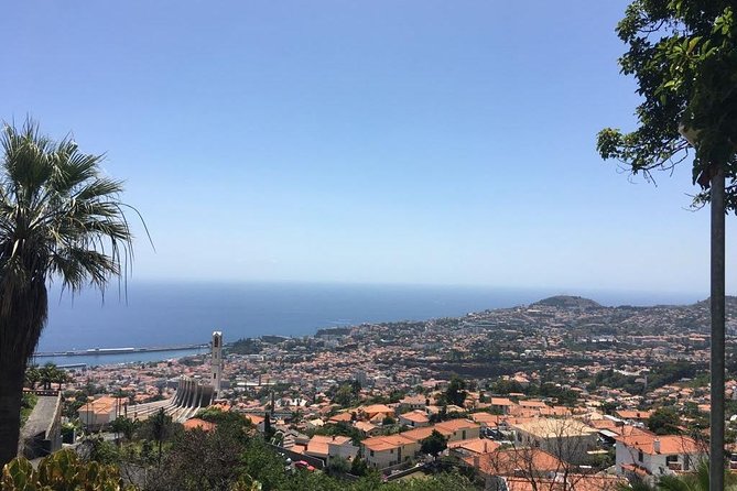 Funchal Private Vehicle Service with Driver for a Half Day or Full Day - Timing and km limits: the part you should plan first