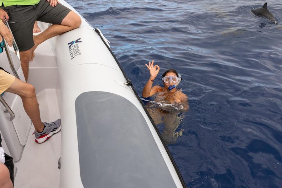Funchal: RIB Whale Watching Cruise and Optional Dolphin Swim - Key things that make this cruise worth your time