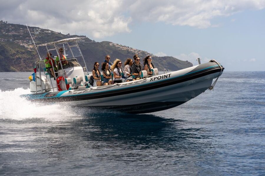 Funchal: RIB Whale Watching Cruise and Optional Dolphin Swim - Why a Madeira RIB is built for real wildlife moments
