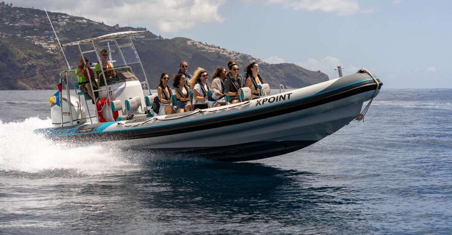 Funchal: RIB Whale Watching Cruise and Optional Dolphin Swim - Madeira’s coast views and the Cabo Girao photo stop