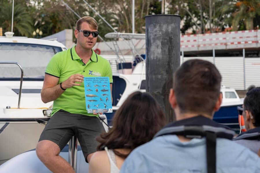 Funchal: RIB Whale Watching Cruise and Optional Dolphin Swim - Optional Swim With Dolphins: how it really works