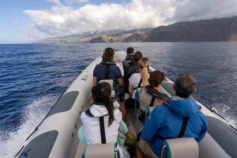 Funchal: RIB Whale Watching Cruise and Optional Dolphin Swim - Best for families, couples, and animal lovers with time to spare