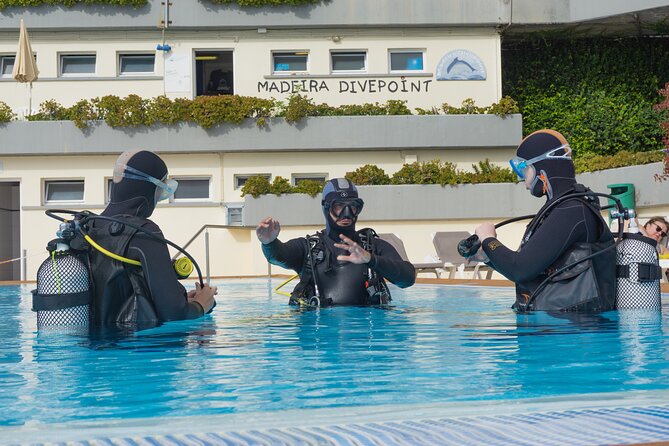 Funchal: Scuba Diving Experience for Beginners - Madeira Divepoint at Pestana Carlton, and why it helps beginners